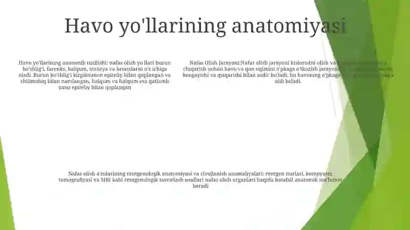 Nafas Olish Jarayoni. Nafas AʼZolarining Rentgenanatomiyasi Va Rivojlanish Nuqsonlari 4