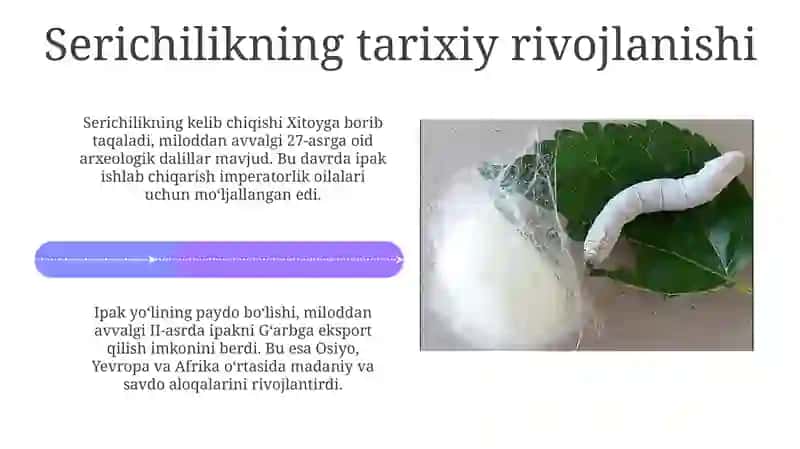 Jahonpillachilikgeografiyasi 4