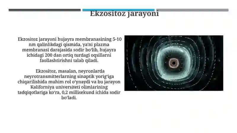 Bez sekretsiyasining ultrastruktr asoslari 4