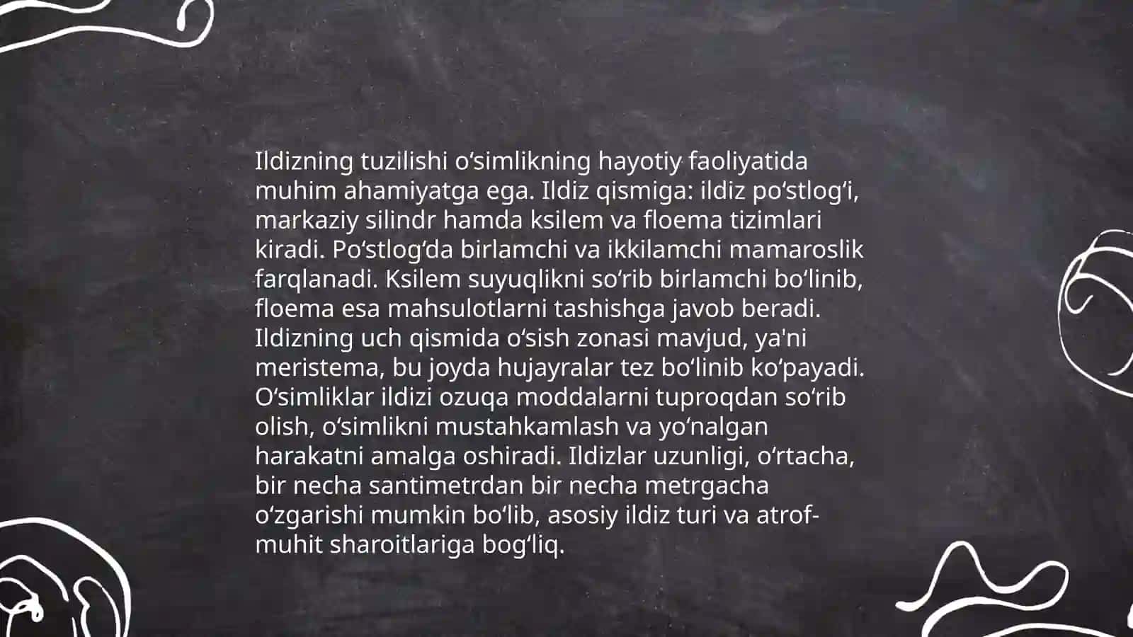 Ildiz, poya, barg metamorfozi 4
