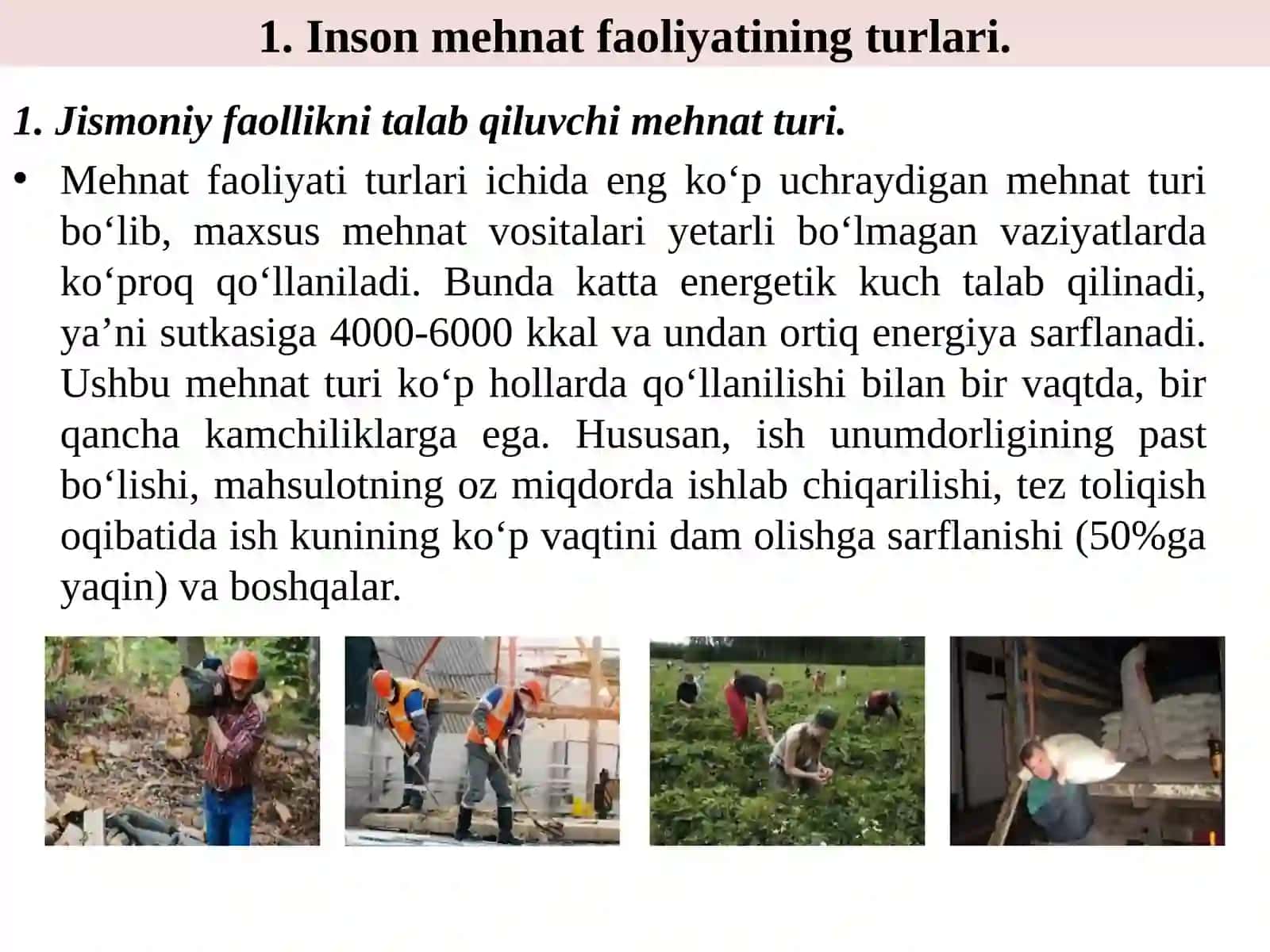 HAYOT FAOLIYATI HAVFSIZLIGI 4