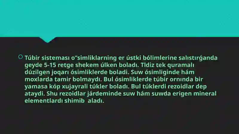 Tiykarǵı bas tamir 4