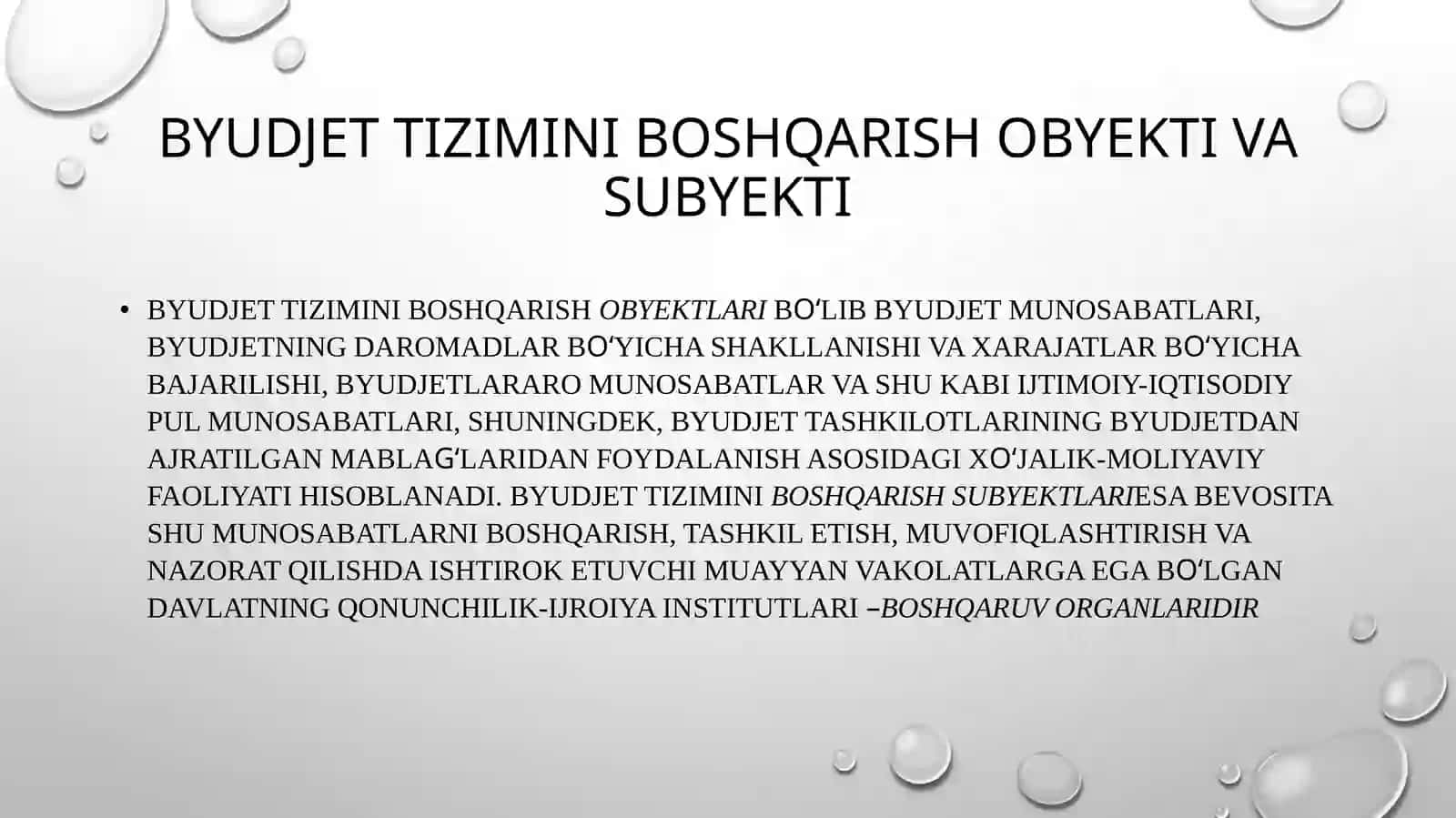 Byudjet tizimini boshqarish 4