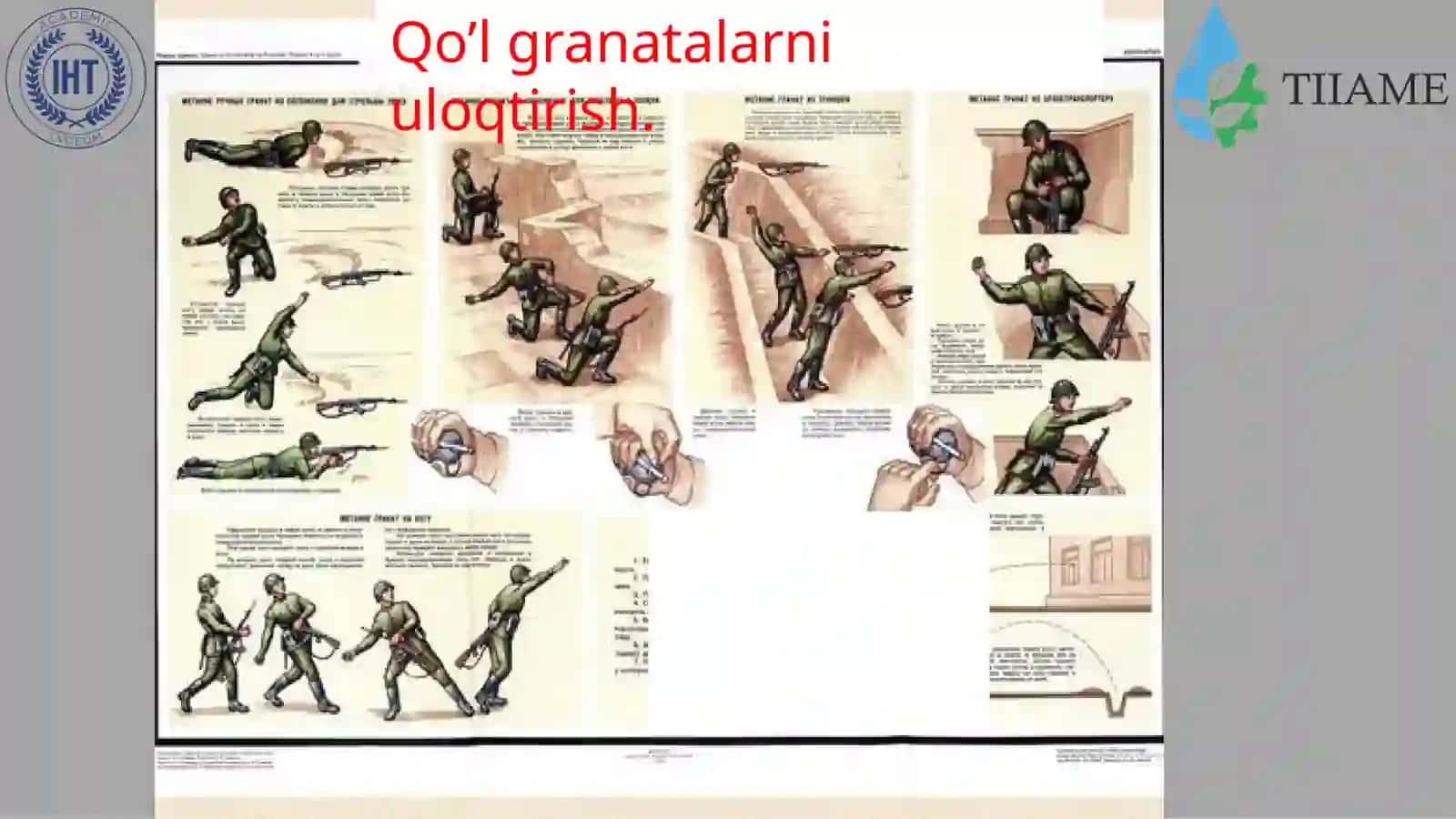 Jangovar granatalar 4