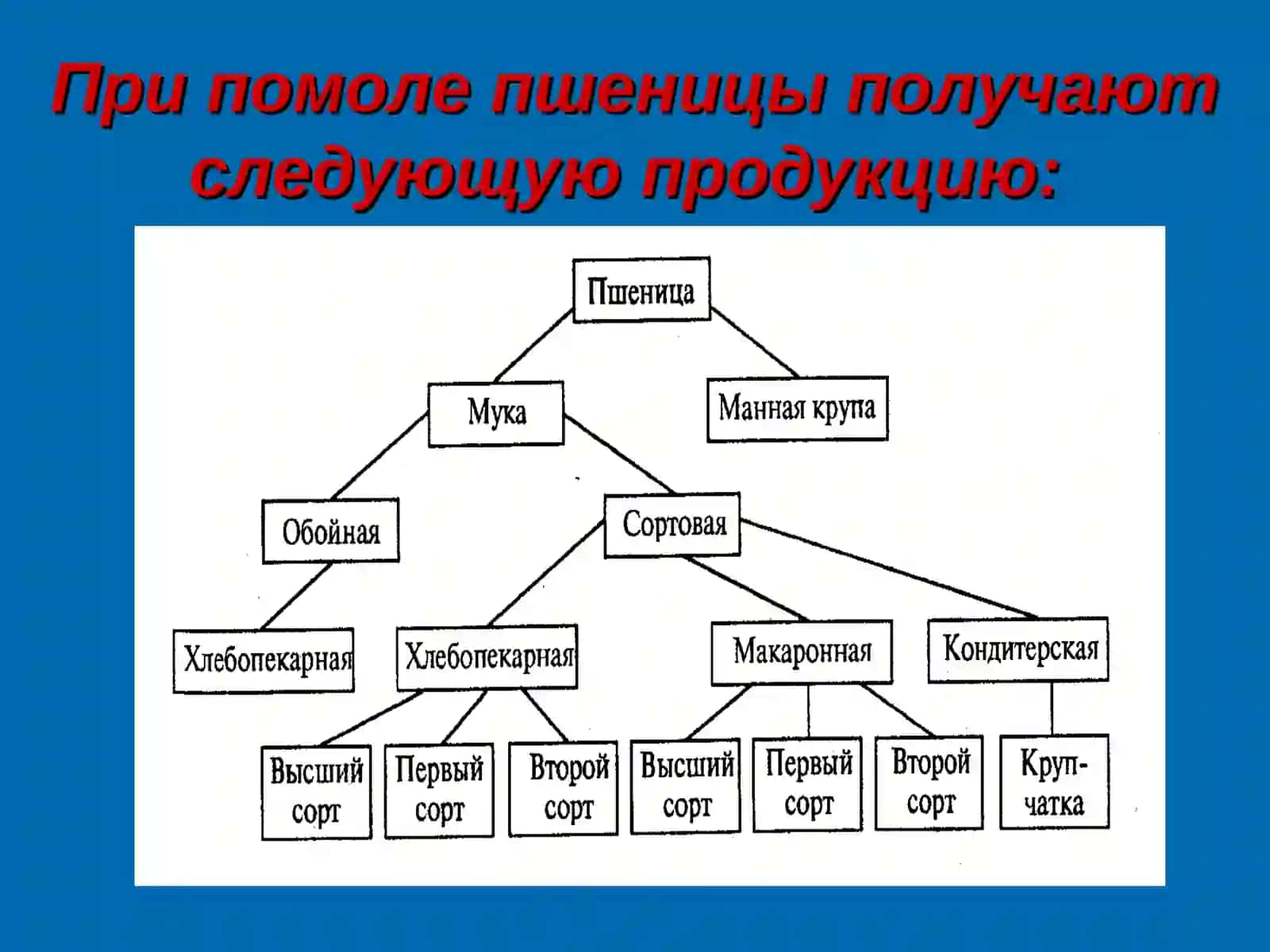 ТЕХНОЛОГИЯ ПРОИЗВОДСТВА МУКИ 4