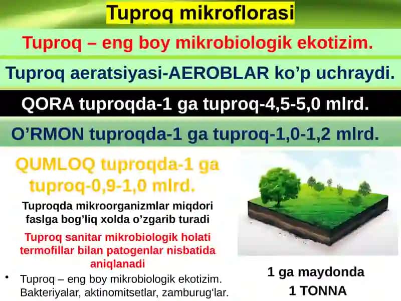 Mikroorganizmlar ekologiyasi 4