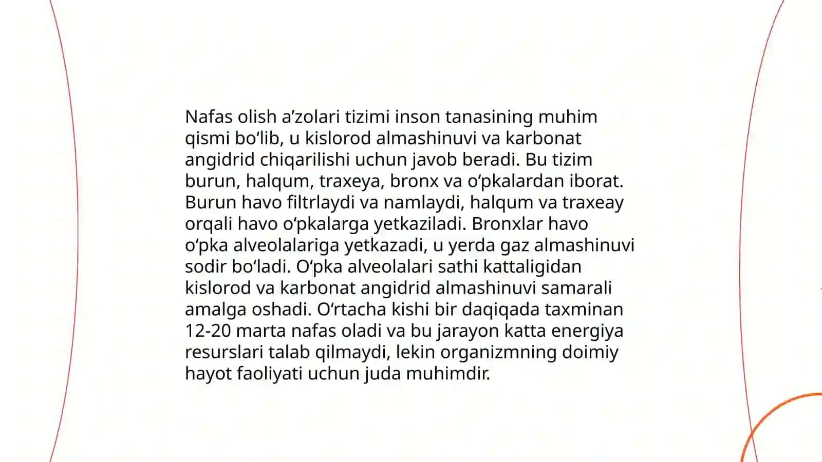 Nafas olish sistemasi va ularni vazifasi 4