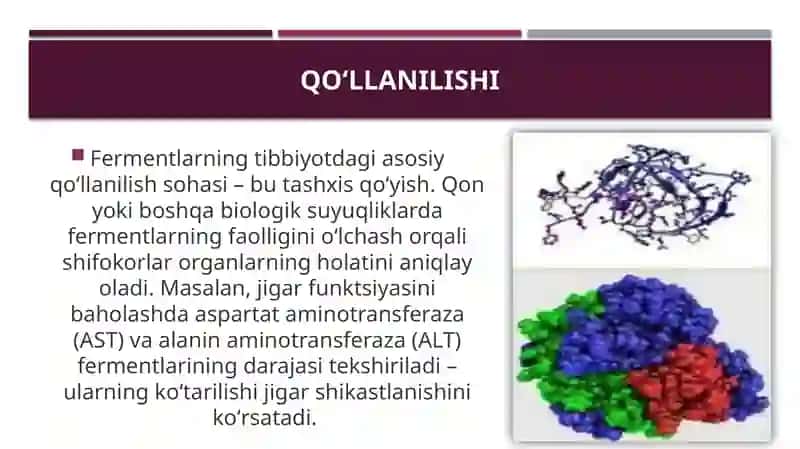 Mavzu: Fermentlarning tibbiyotda qoʻllanilishi. 4
