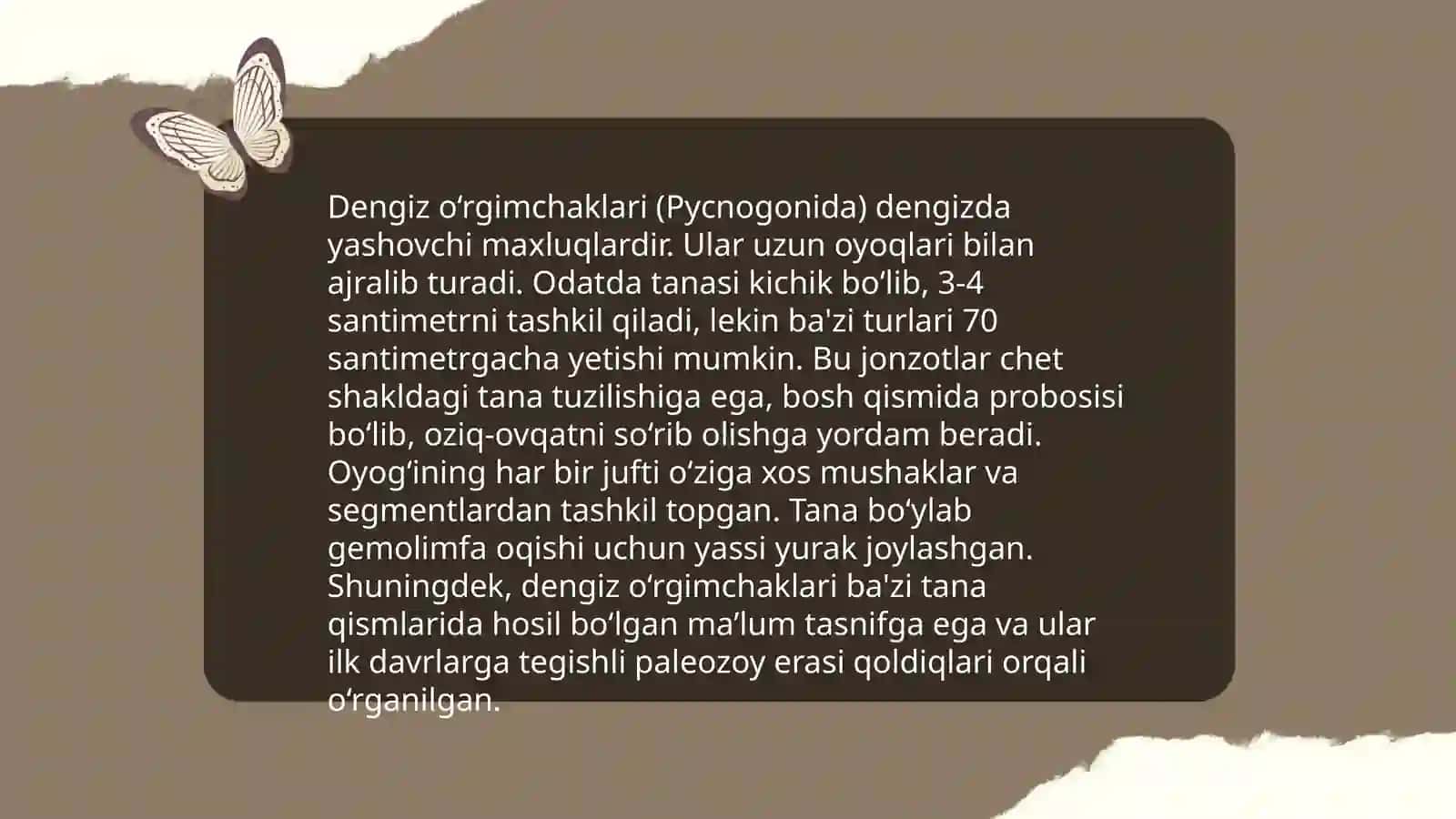 Dengiz o'rgimchaklar sinfi 4