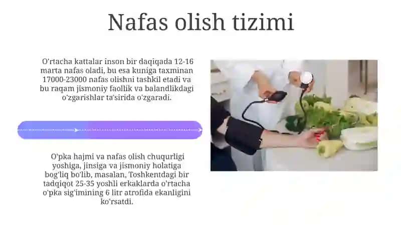 Endokrin tizimi 4