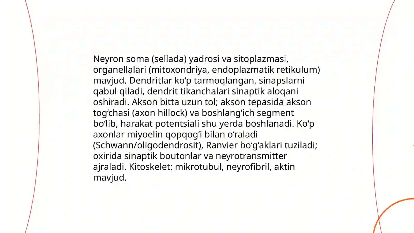 Nerv tõqimasi va neyronlar 4