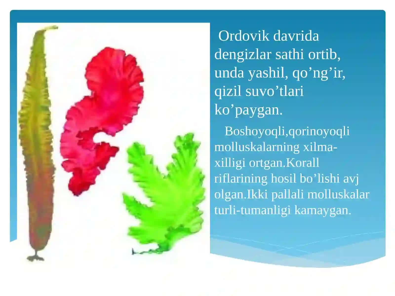 Paleozoy erasidagi hayot 4