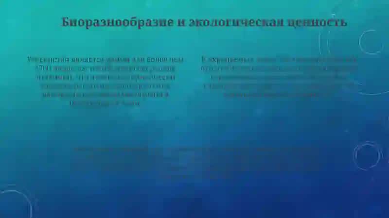 Охраняемые территории Узбекистана 4