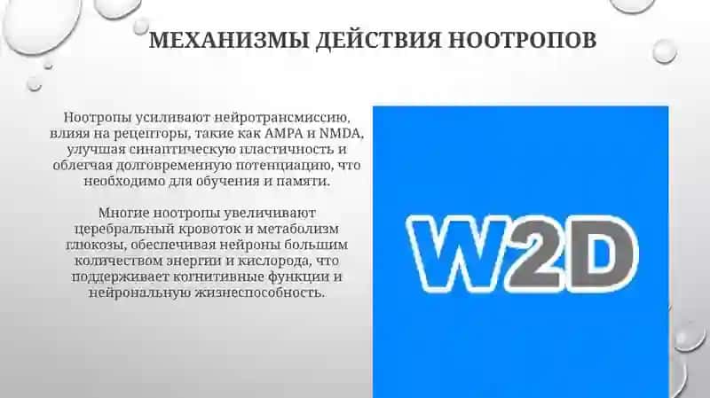 Лечебное дело 2 4