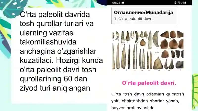 O'RTAPALEOLITDAVRIMANZILGOHLARI 4