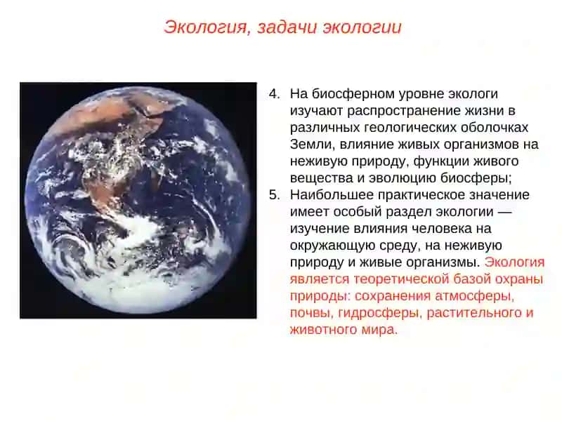 Основы экологии.Экосистемы 4