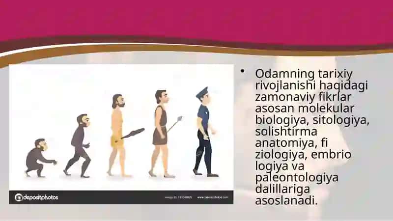 ANTROPOLOGIYA – ODAM EVOLUTSIYASI HAQIDAGI FAN 4