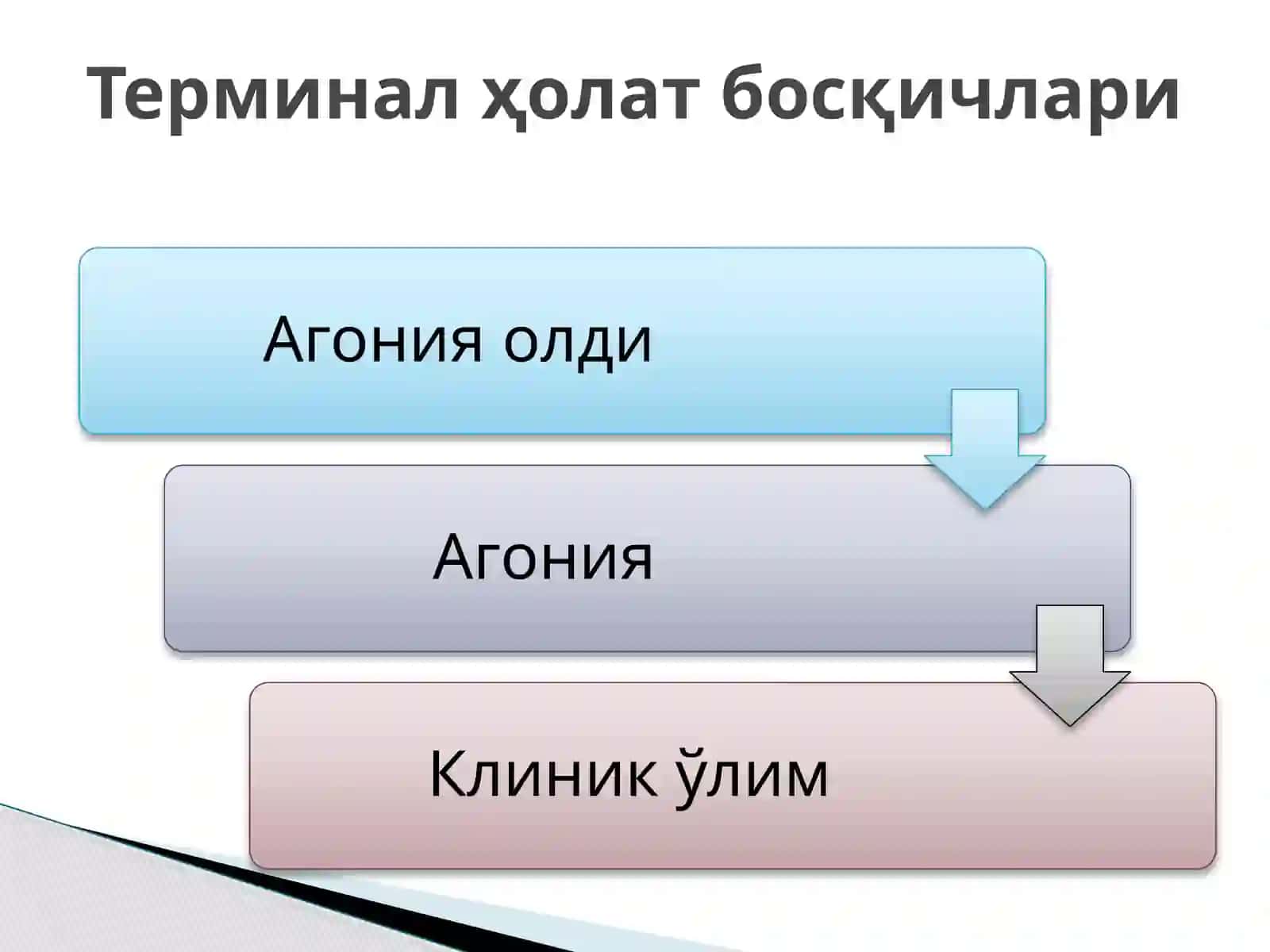 Жонлантириш. Реанимация 4