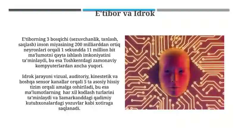 Inson Axborot Qayta Ishlash Tizimi 4