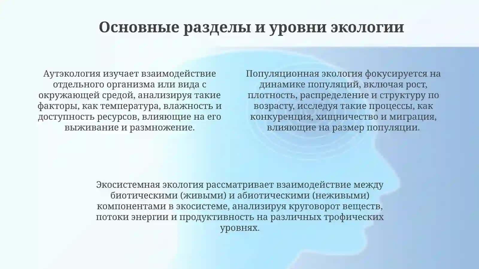 Презентация 4