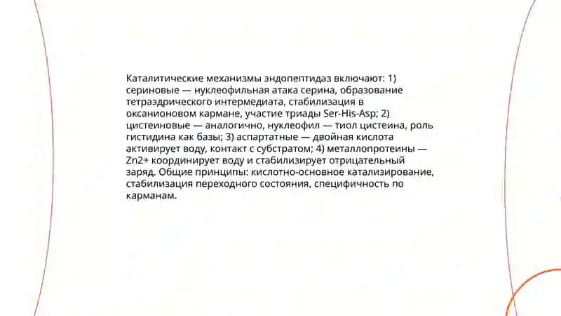 Эндопептидазы 4
