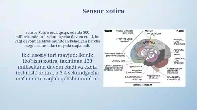 Xotira turlari va ularning jarayonlari 4