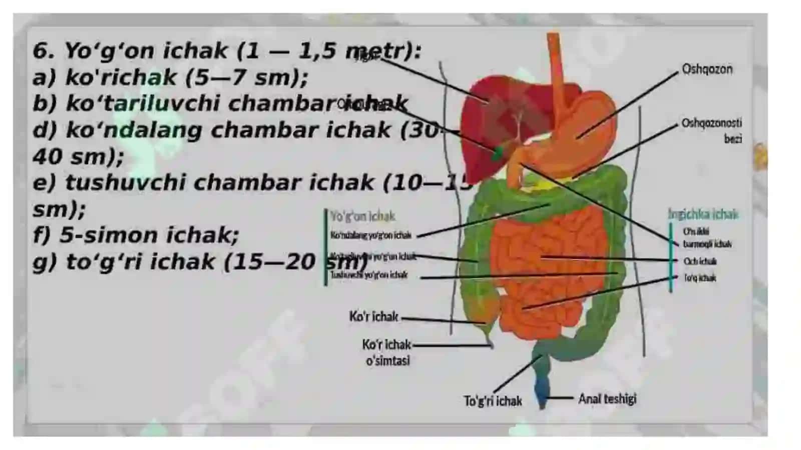 Ko'p tarmoqli tibbiyot texnikumi 4