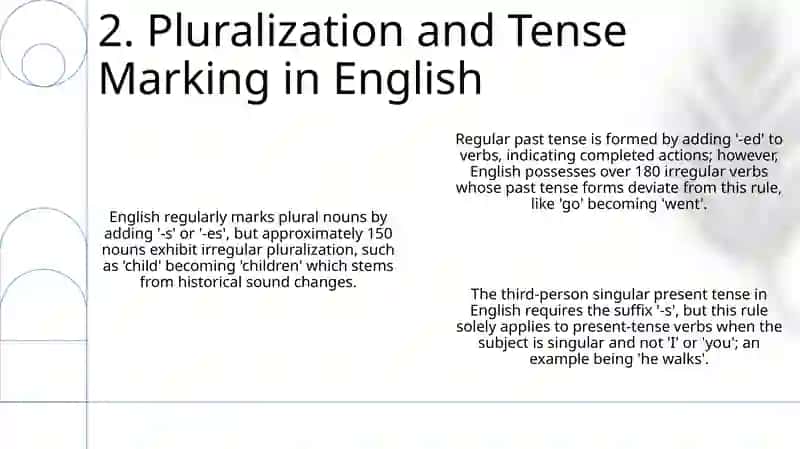 Inflectional morphemes in English 4