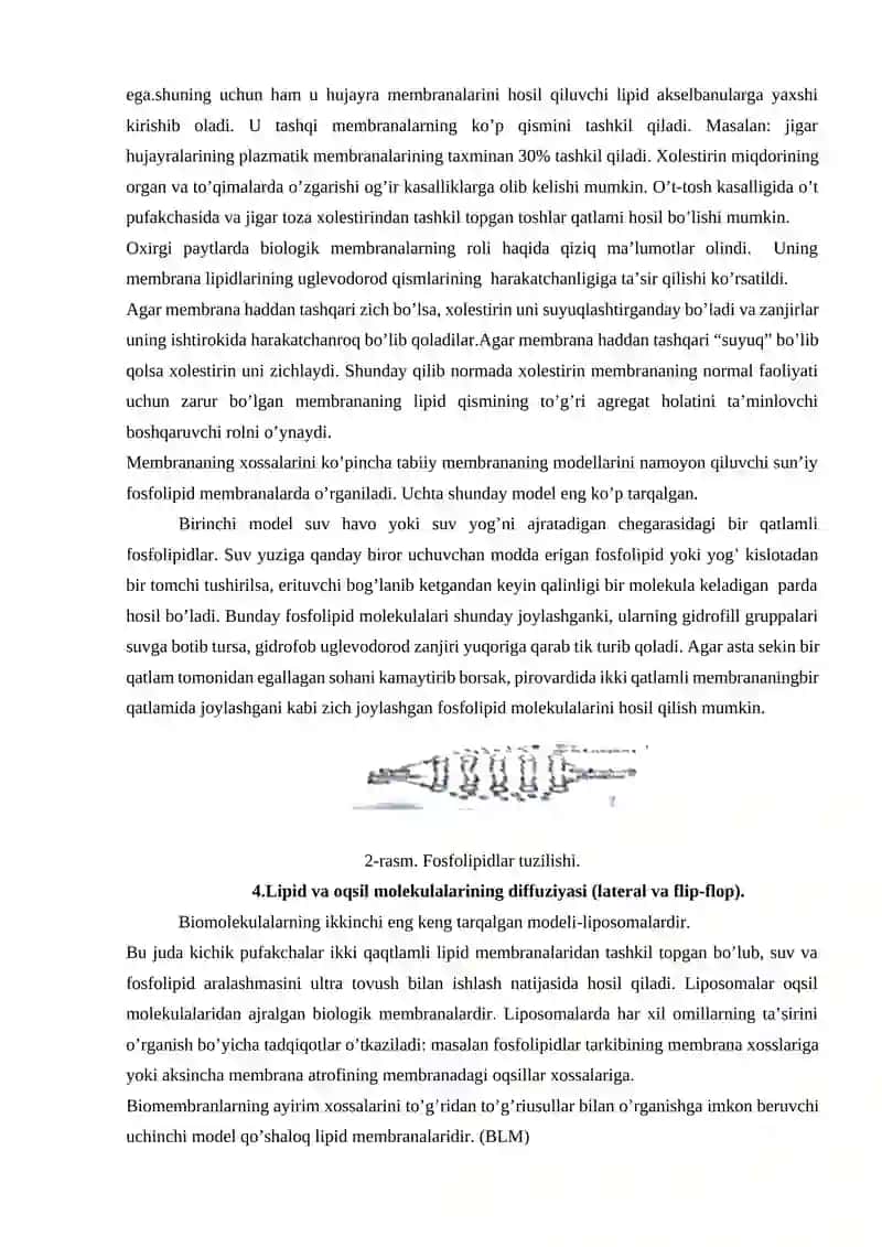 Biologik membranalar 4
