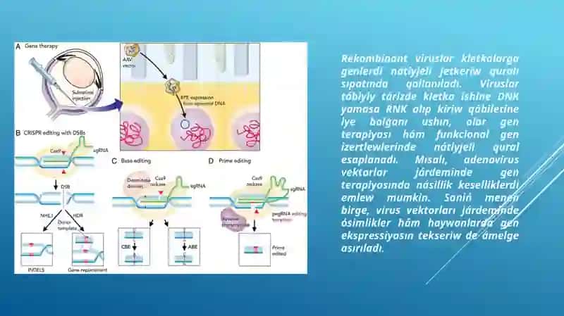 Gen injeneriyasınıń metodları 4