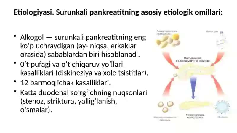 Surunkali Pankreatit 4