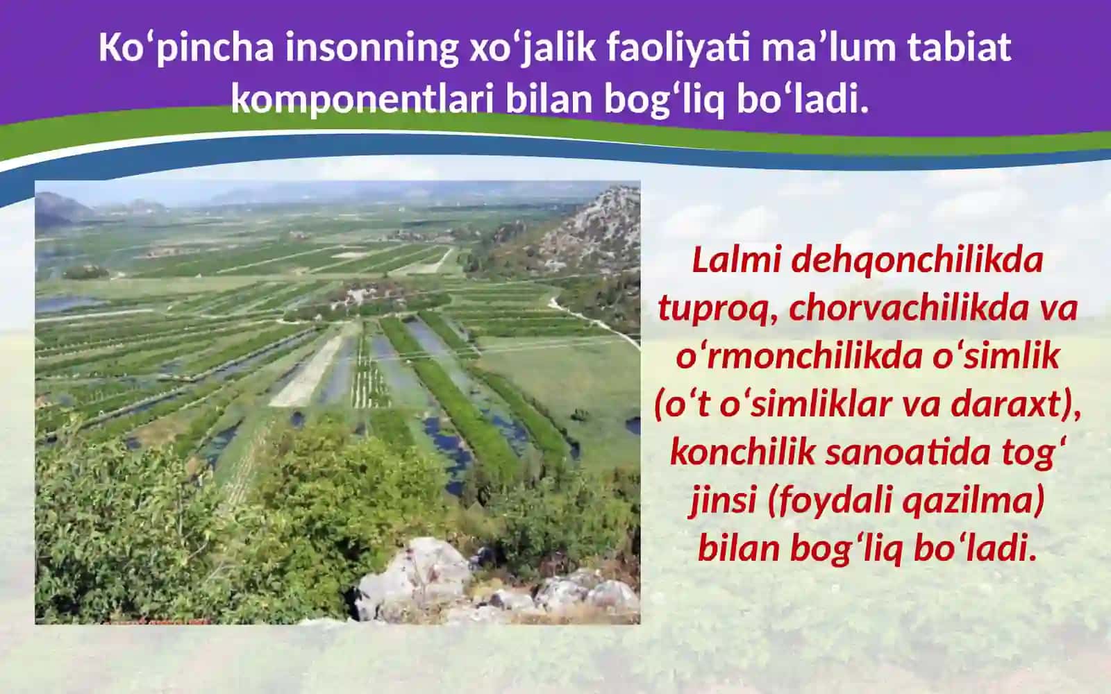 Madaniy landschaft tashkilotish, landshaft planirovka 4
