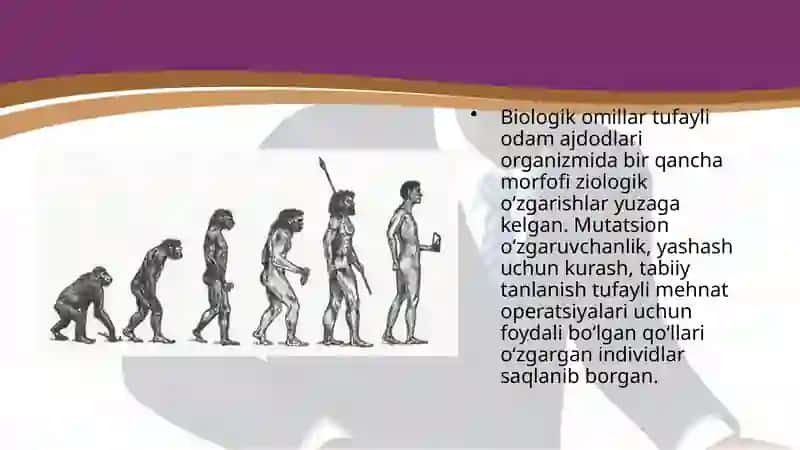 ODAM EVOLUTSIYASINI HARAKATLANTIRUVCHI KUCHLARI 4