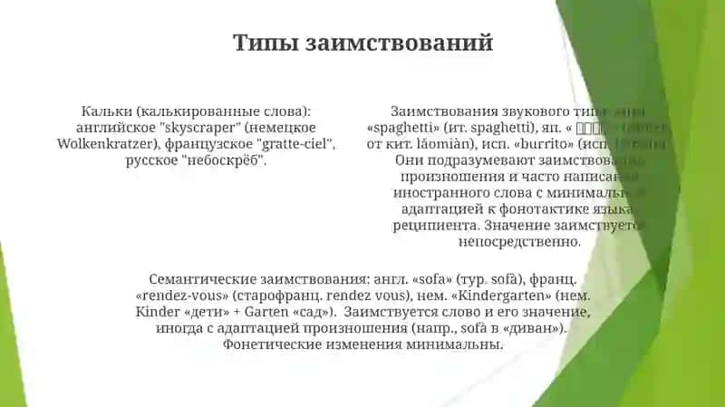 Заимствованная лексика 4