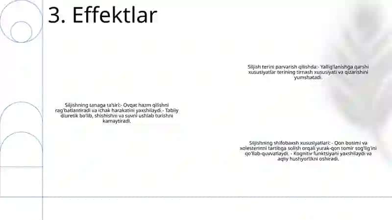 Siljish 4