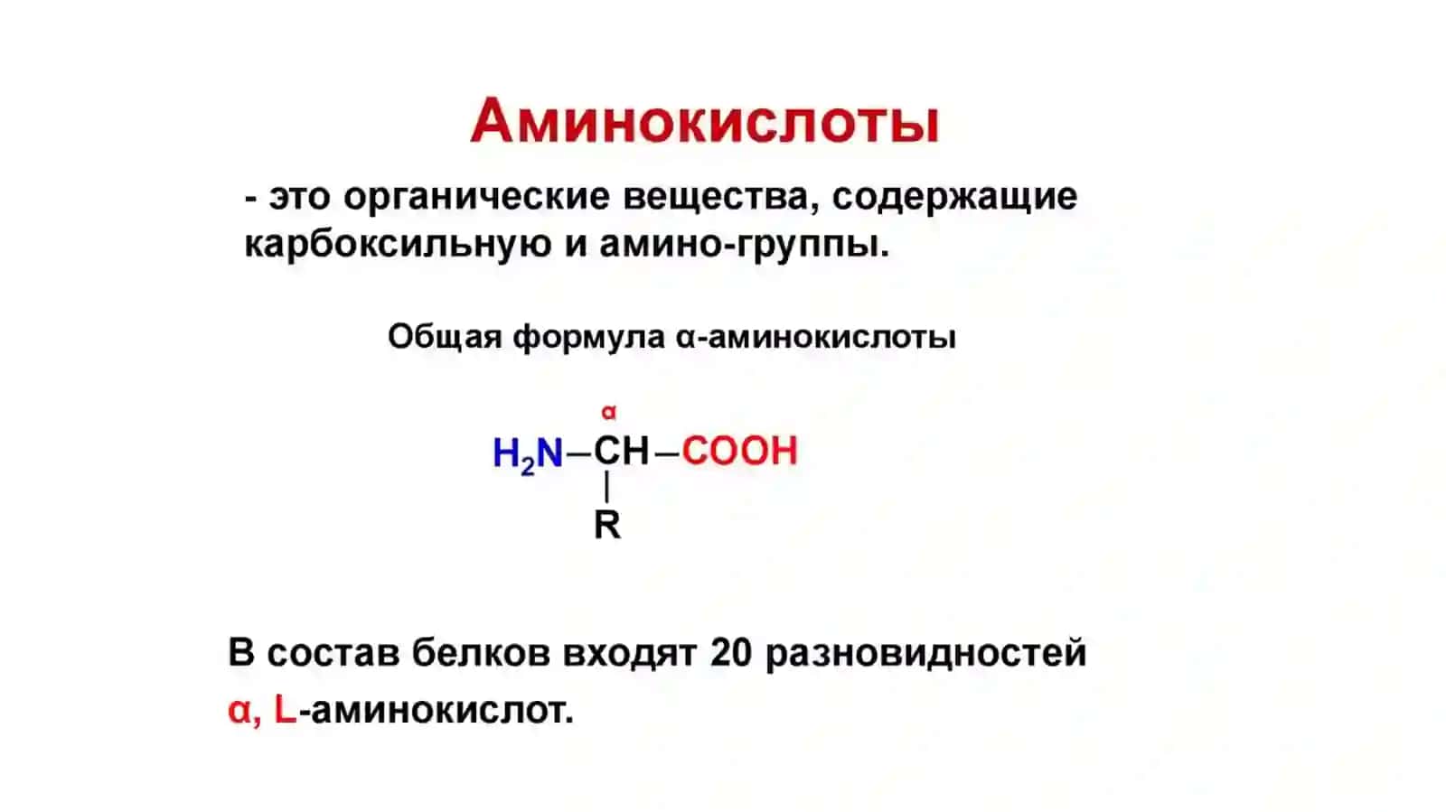 Белки и аминокислоты 4
