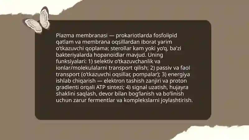 Prokariot hujayralaring tuzilishi 4