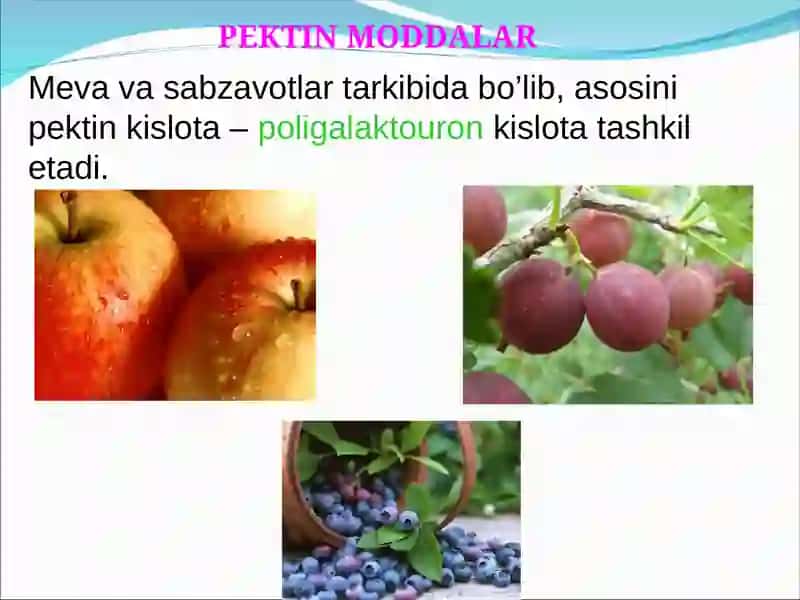 SELLULOZA ASOSIDA BIOTIBBIY MATERIALLAR 4