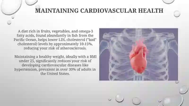 Heart and circulation 4