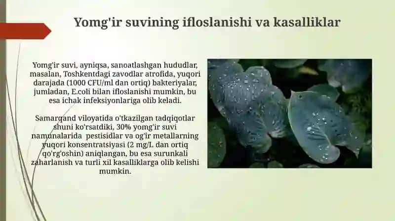 Yomg'ir tomchilari harakteristikasi 4