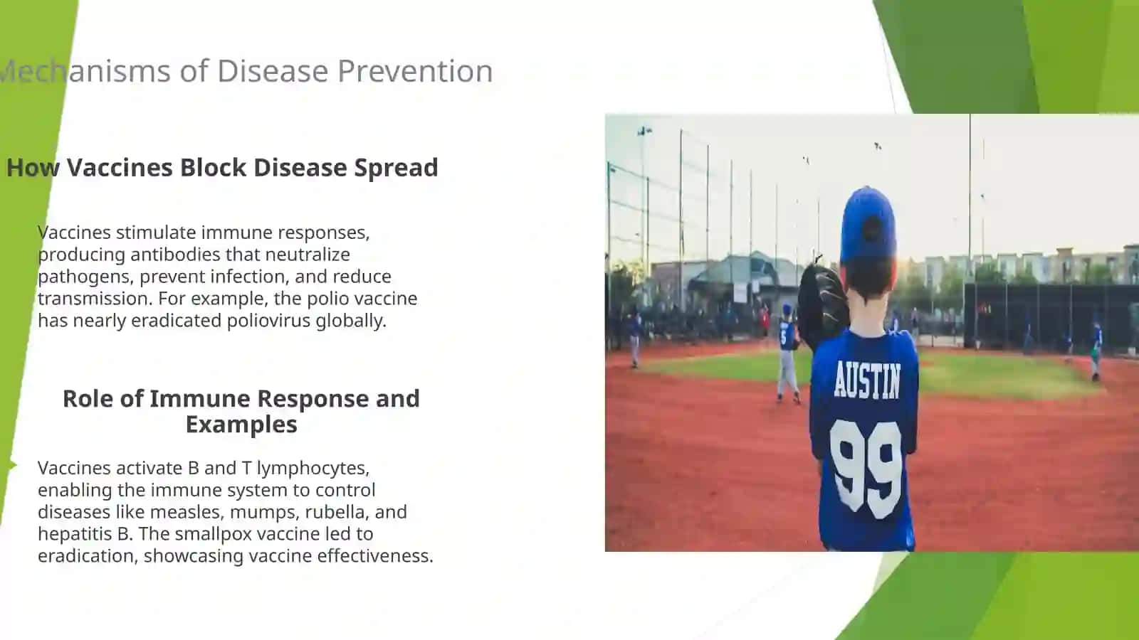 Vaccines and Public Health 4