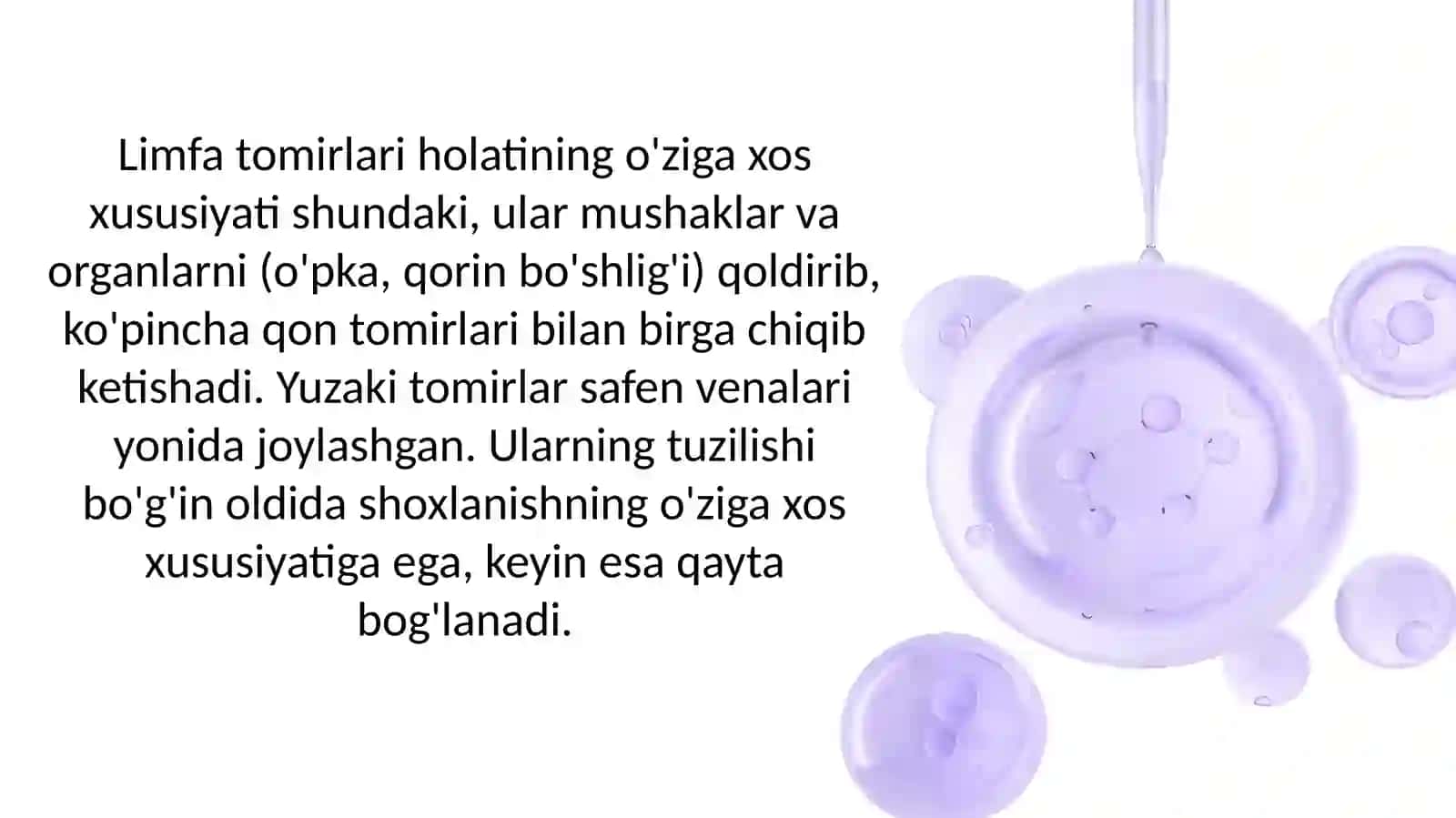 OLTINOVA ZARNIGORNING ANATOMIYA 4