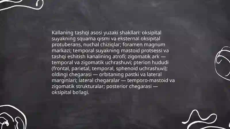 Kalla qopqogʻi, kallaning ichki va tashqi asosi 4