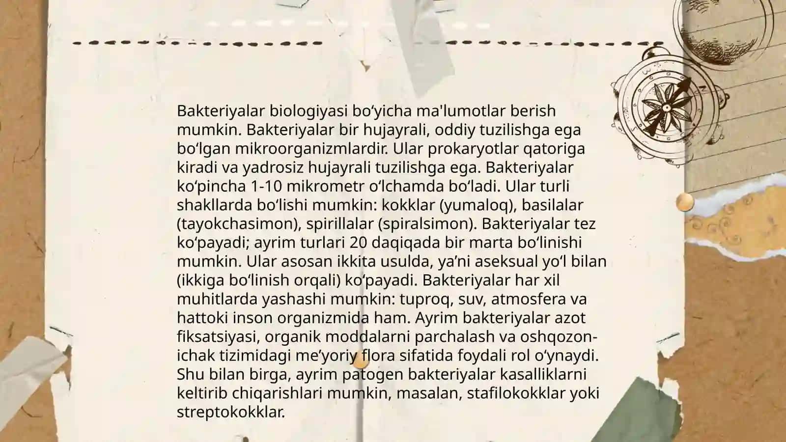 Bakteriya va viruslar 4