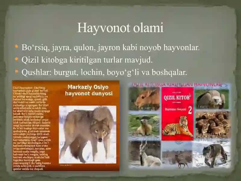 O’zbekiston tabiati, tabiiy boyliklari va ularni muhofaza qilish 4