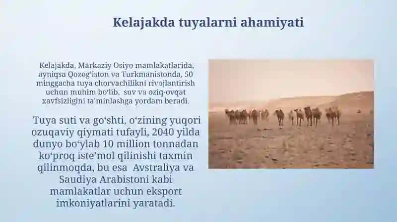 Tuyalar: Inson Hayotida Ahamiyati 4