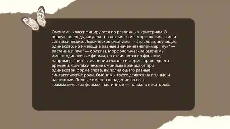 Омонимы 4