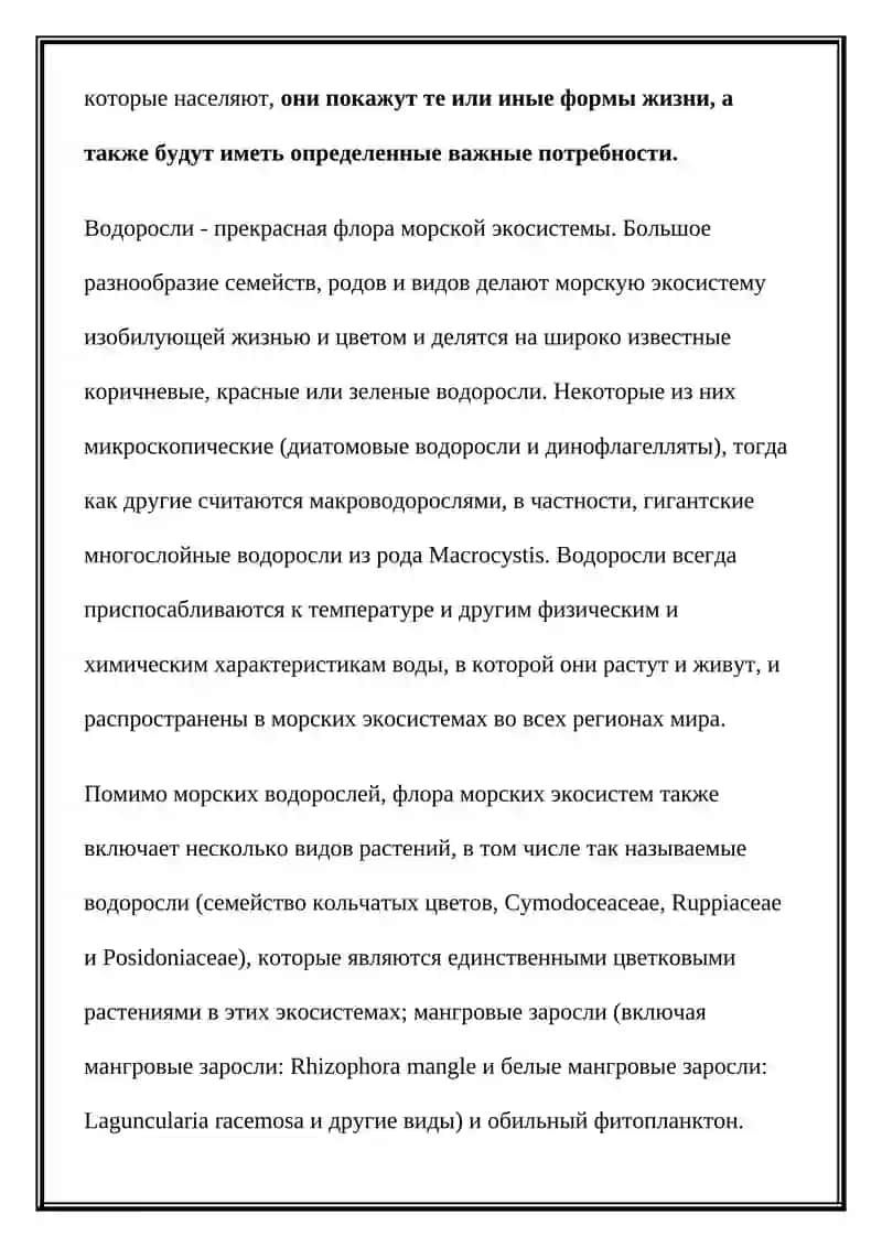 Морская экосистема 4