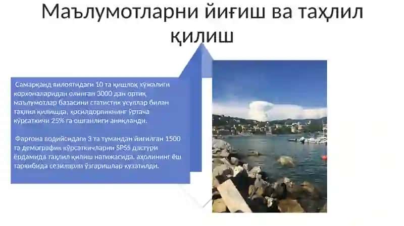 4+2 Йўриқномаси бўйича Ҳисобот 4