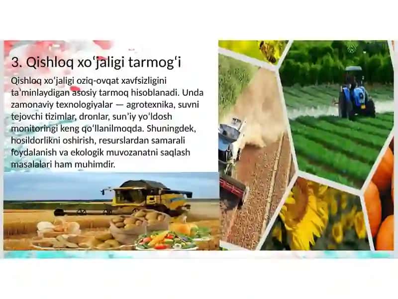 Xalq xo‘jaligining turli sohalari va tarmoq texnologiyalaridan foydalanish yo‘llari 4